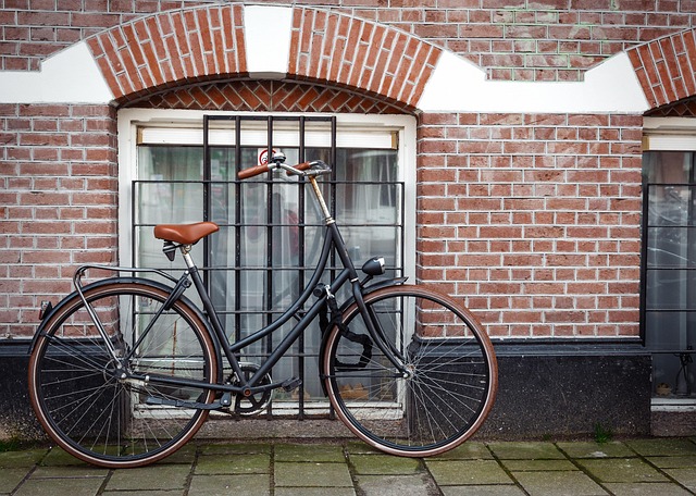 bicykel pri dome